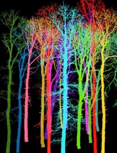 tree-laser-scan-3 - Copy